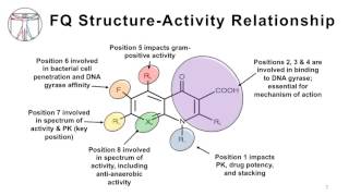 Intro to Bacteria amp Antibiotics Quinolones [upl. by Doowle]