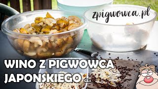 Wino z Pigwowca Japońskiego  zdrowy smaczny trunek  cz1 Jak wygląda pigwa a jak pigwowiec [upl. by Relyc56]