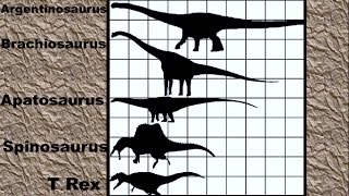 Dinosaur Size Comparison 2D [upl. by Tybie959]