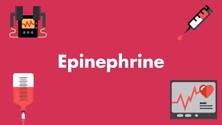 Epinephrine  Vasopressors amp Inotropes  MEDZCOOL [upl. by Lahcym]