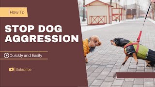 How to stop Dog Aggression quickly And easily  In a few steps [upl. by Case]