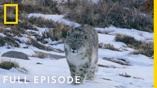 Mountains Full Episode  Hostile Planet [upl. by Court]