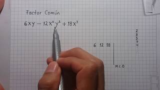 Primer Caso de Factorización Factor Común Ejercicio 1 [upl. by Ahseinad14]