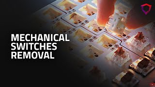 How to remove and replace mechanical switches on a Dygma Raise keyboard [upl. by Aynosal887]