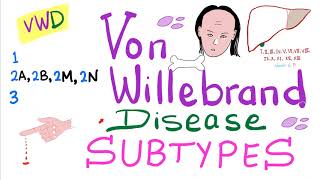 Von Willebrand Disease VWD Subtypes Type 1 2A 2B 2M 2N and 3 [upl. by Ahsirak]