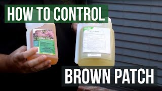 How to Control Brown Patch Fungus with Honor Guard PPZ Fungicide Propiconazole [upl. by Missy126]