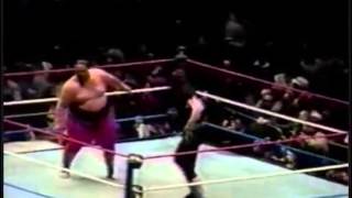 Undertaker vs Yokozuna MSG Show 27111993 [upl. by Eirbua]