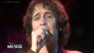 Rino Gaetano  A mano a mano Live 1981 [upl. by Charissa692]