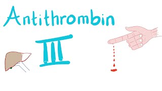 Antithrombin III  How Heparin Works [upl. by Ammadis]