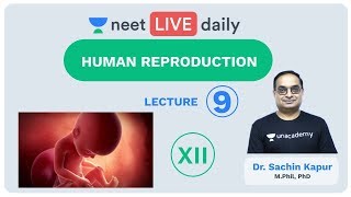 Human Reproduction  Lecture 9  Class 12  Unacademy NEET  LIVE DAILY  NEET Biology  Dr Sachin [upl. by Rye]