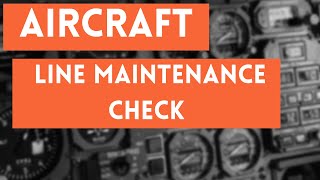 Aircraft Pre Departure check Example [upl. by Enibas39]