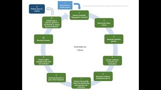 The Expanded Cycle of Narcissistic Abuse [upl. by Melisenda538]