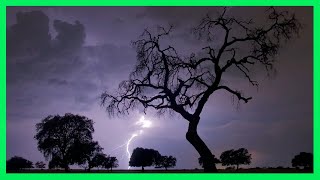 ⚡ Sonido de Lluvia y Truenos para Dormir⚡ 4 Horas  Tormenta Fuerte  Lluvia Relax con Truenos [upl. by Quartis487]