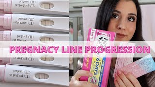 Pregnancy Line Progression 920DPO with HCG Betas  Pregnancy Test Reviews [upl. by Hjerpe98]