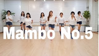 Mambo No5 Line Dance Beginner 윤 은희 [upl. by Anastas567]