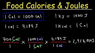 Joules Food Calories amp Kilojoules  Unit Conversion With Heat Energy  Physics Problems [upl. by Barton]