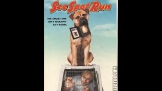 Opening To See Spot Run 2001 VHS [upl. by Clim180]