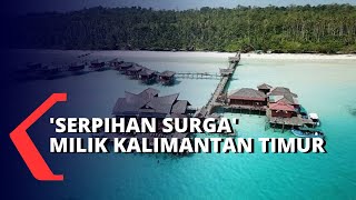 Pulau Maratua Kalimantan Timur Serpihan Surga Bagi Para Wisatawan [upl. by Rexford]