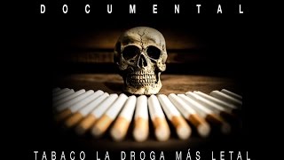 Documental sobre el tabaco [upl. by Asserak]