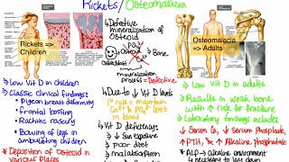 AOCPMR OMT Walkthrough of Osteopathic Sacral Dysfunctions [upl. by Eloisa]