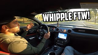 WHIPPLE SUPERCHARGED MUSTANG FIRST DRIVE REACTION From a ProCharged Mustang Owner [upl. by Atil]