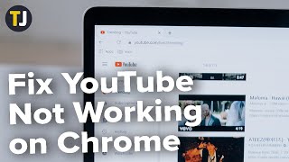 How to Fix YouTube Videos Not Playing on Chrome [upl. by Lemieux69]