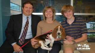 Basset Hound Rescue Rehabilitation and Adoption [upl. by Lilybel884]