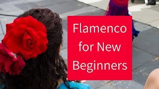 Flamenco Dance Basics  Learning the Fundamentals for New Beginners [upl. by Cati191]