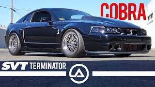 Nasty 750 Horsepower Terminator Cobra Whipple Supercharged  2003 SVT Shelby Mustang [upl. by Klaus]