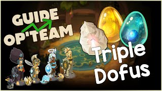 GUIDE OPTEAM  TRIPLE DOFUS [upl. by Nettle]