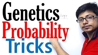 How to solve genetics probability problems [upl. by Cantu]