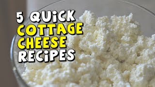 5 Quick Cottage Cheese Recipes [upl. by Carissa968]