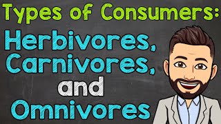 Types of Consumers  Herbivores Carnivores and Omnivores [upl. by Jeffy786]