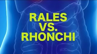 Rales vs Rhonchi  USMLE [upl. by Kiersten]