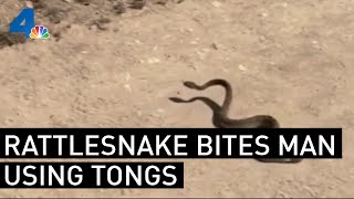 Rattlesnake Bites Man Who Picked It Up With Barbecue Tongs  NBCLA [upl. by Henryetta]