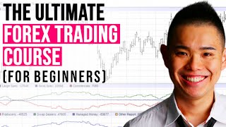 The ULTIMATE Forex Trading Course for Beginners [upl. by Haimaj608]