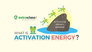 Activation Energy  Chemical Kinetics  Chemistry  Extraclasscom [upl. by Llenyr]