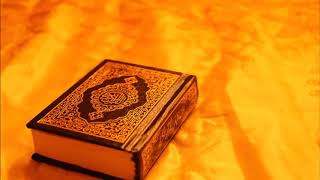 Full Quran MP3 with Soft Voice [upl. by Annais]