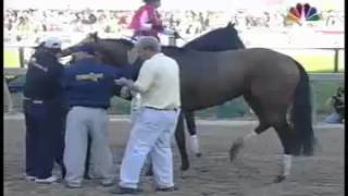 Barbaro Injury Preakness Stakes May 20 2006 [upl. by Rehpetsirhc]