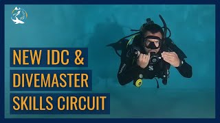 New PADI IDC and Divemaster Skills Circuit 2024  Neutrally Buoyant [upl. by Nosylla]