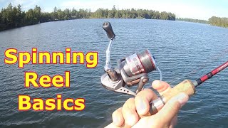 Spinning Reel Basics  How To Use A Spinning Reel [upl. by Vicki]