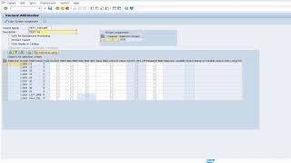 How to create a variant in SAP using SE16 [upl. by Aubigny905]