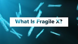 What Is Fragile X Syndrome [upl. by Ginny341]