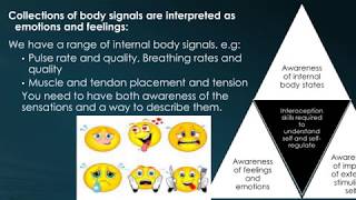 Proprioception amp Why Some Autistic People Hand Flap [upl. by Ahsok]