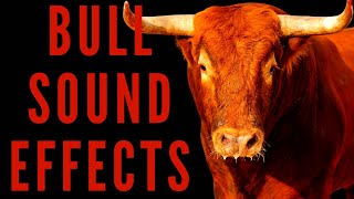 BULL SOUND EFFECTS  How Do Bull Sounds [upl. by Nyrrad]