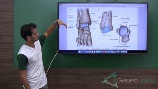 Mobilização articular  Ombro Joelho tornozelo Curso treinamento e Aula Explicativa [upl. by Thorwald875]