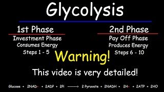 Glycolysis  Biochemistry [upl. by Gill]