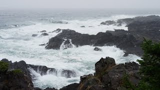 Sonido de Lluvia y Olas del Mar para Dormir y Relajarse  Meditación [upl. by Senaj]