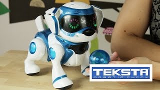 Teksta Robotic Puppy  Teksta Piesek Interaktywny [upl. by Runkle323]