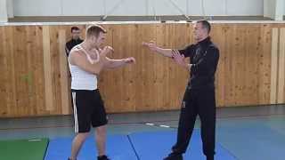 Wing Chun vs MMA [upl. by Ethan]